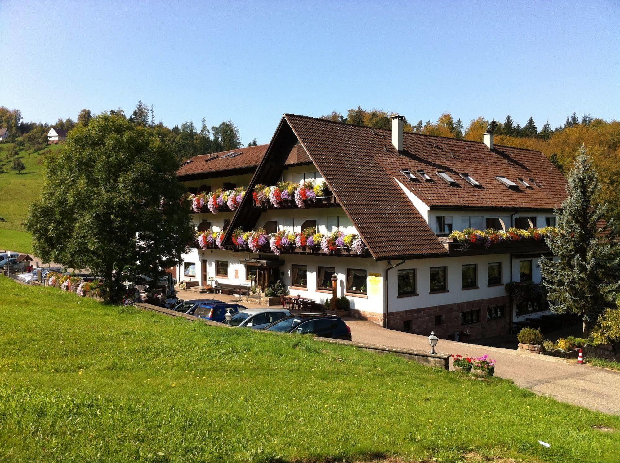 Hoehenhotel & Restaurant Kalikutt Oppenau Extérieur photo